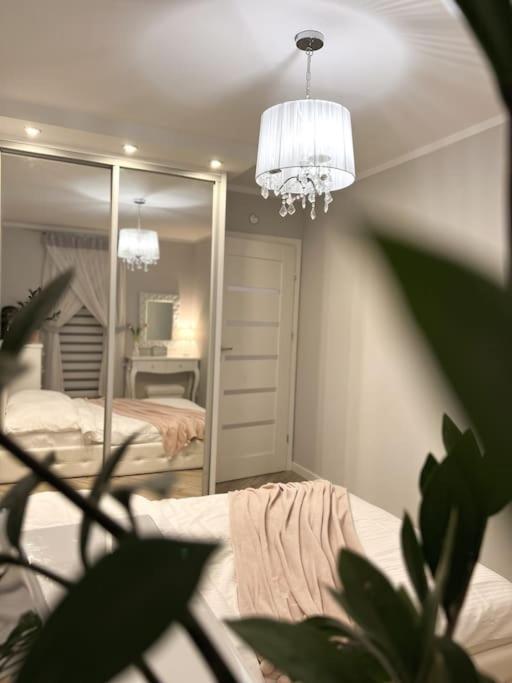 Apartament Zamojski Mlynska Zamość Eksteriør billede