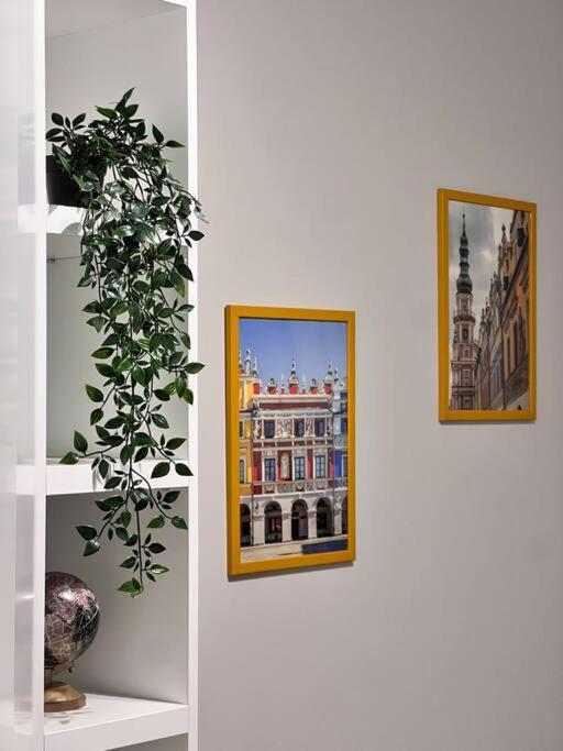 Apartament Zamojski Mlynska Zamość Eksteriør billede