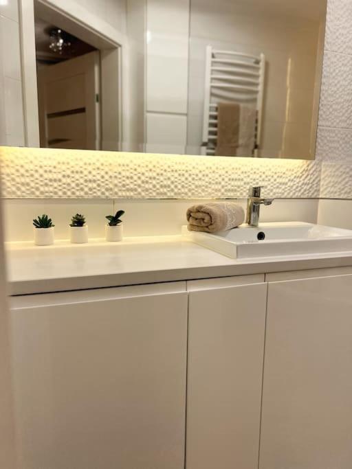 Apartament Zamojski Mlynska Zamość Eksteriør billede