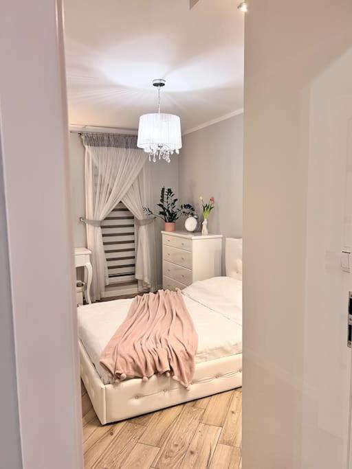 Apartament Zamojski Mlynska Zamość Eksteriør billede